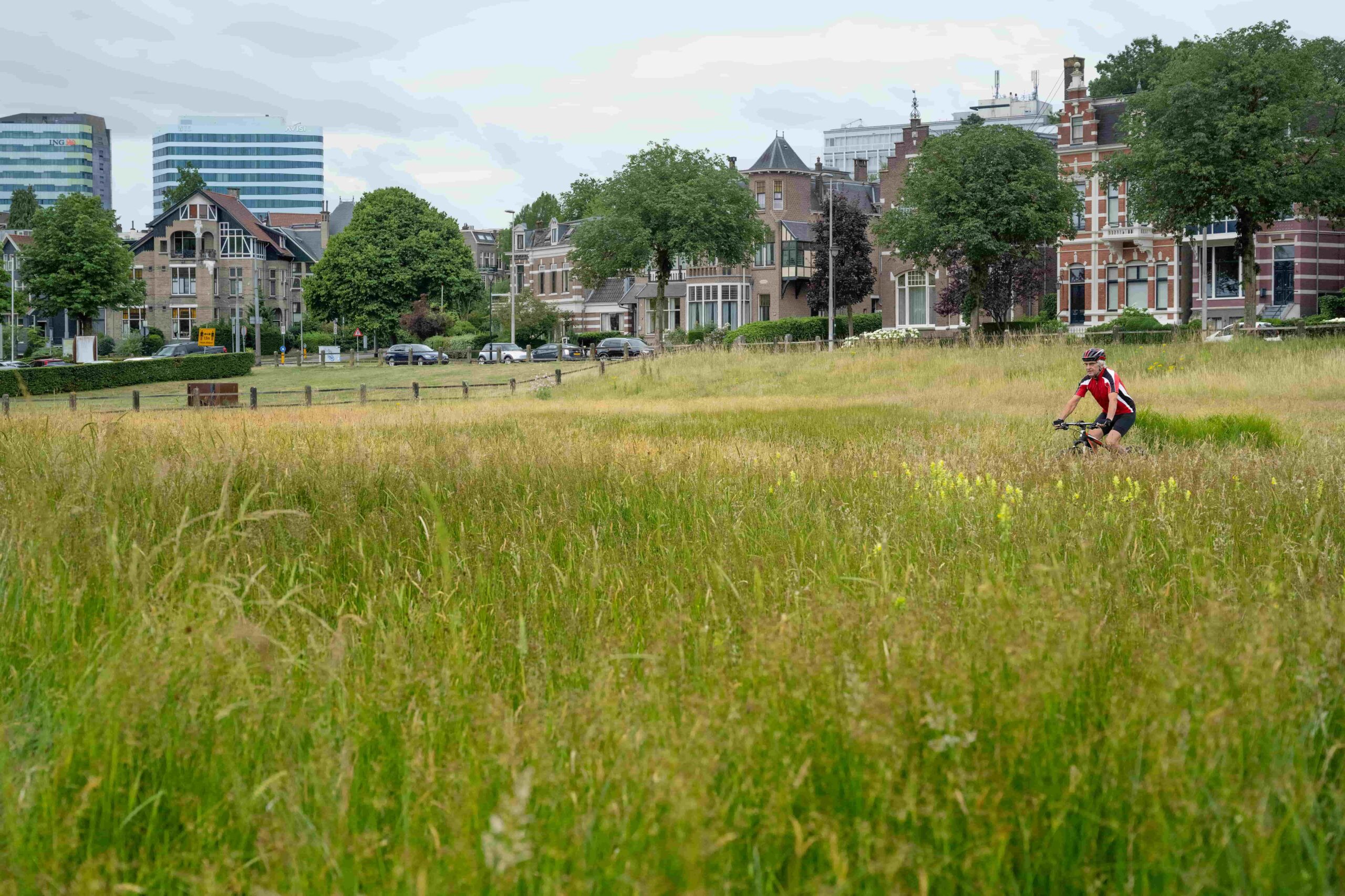 Fietser fietst door Midden-Gelderland